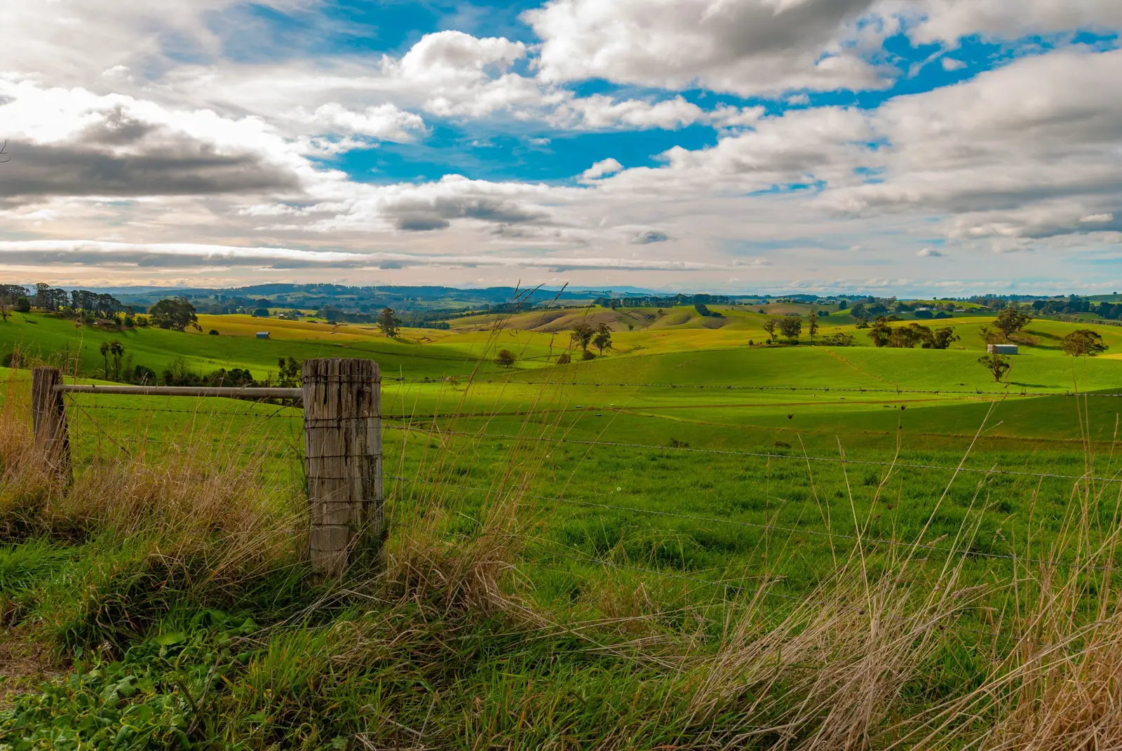 Green rolling farmland in the Strzelecki Ranges, Gippsland, looking towards Mirboo North, with an old timber fence post in the foreground