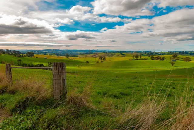 Rolling green farmland with an old fence post, looking towards Mirboo North in Gippsland