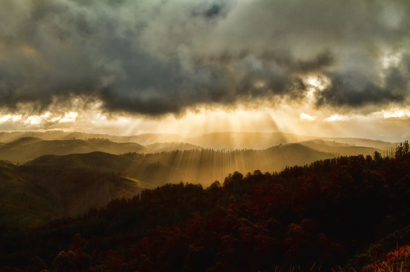 Sun breaking through storm clouds over the forested hills of the Tarra Valley in the Strzelecki Ranges, Gippsland