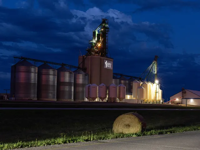 A grain elevator and steel grain bins lit up at dusk
