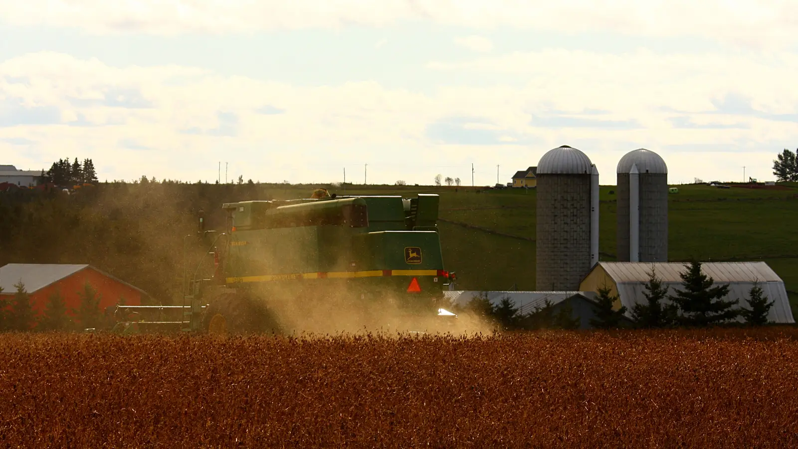 Une moissonneuse-batteuse verte récolte du soya dans un nuage de poussière, près d’une cour de ferme avec deux silos, à Prince Edward Island