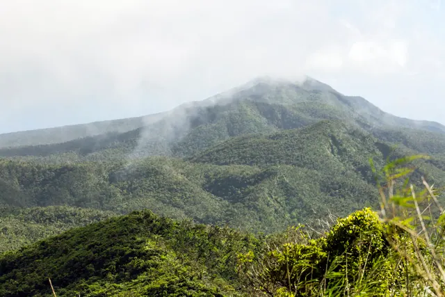 Cloud drifting over the green forested slopes of Mount Uluiqalau on Taveuni