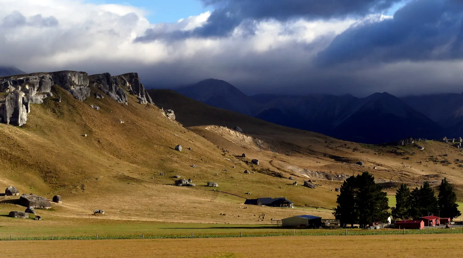 Golden tussock high country and farm buildings under the mountains