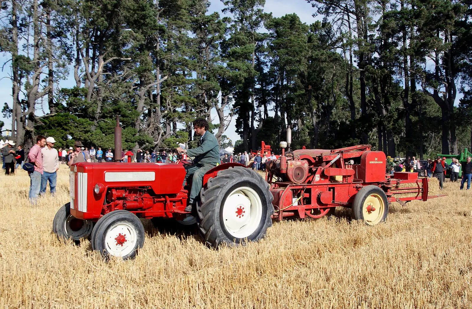 A red IHC tractor towing a New Holland baler across golden stubble, with onlookers and pine trees behind