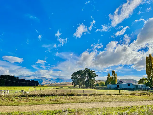 A farmhouse, shelter trees and dry paddocks under a bright blue sky