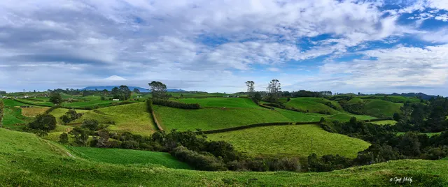 Green hedged paddocks on a dairy run-off under a big sky